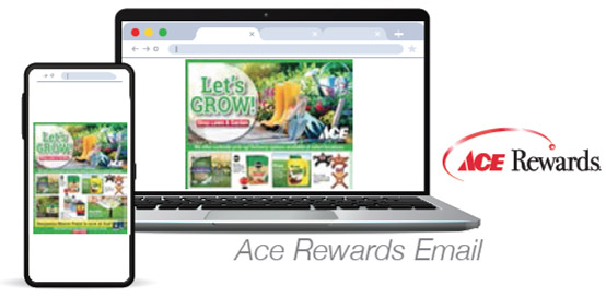 Ace Rewards Email